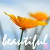 beautiful
