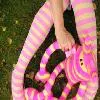 pink&yellow socks