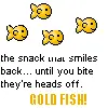 Gold Fish