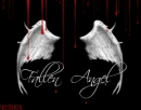 Fallen Angel