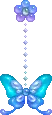 blue butterfly
