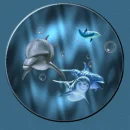 Dolphins World