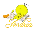 Andrea