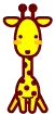 Cute giraffe