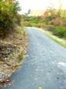 Endless Road