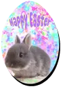 Happy easter