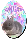 Happy easter
