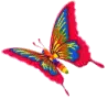 Red Butterfly