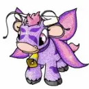 Purple Pony