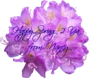 Happy Spring to Ya from Nancy - Purple Floral Bunch