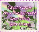 Best Friends
