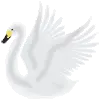 White Swan