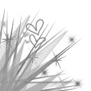 silver love