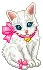 shy kitty
