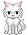 funny kitty