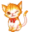 winking kitty