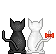 kitty love