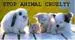 Stop animal cruelty