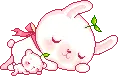 sleeping bunnys