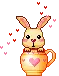 bunny in a cup