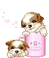 2 puppies in cup