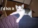hide `n' seek