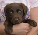 cute as cocoa