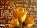 rosa amarilla