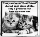 Best Friends