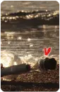 bottle