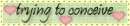 Trying To Conceive