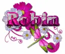 Robin