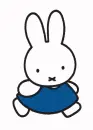 miffy x 