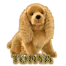 Tonya w/Cocker Spaniel