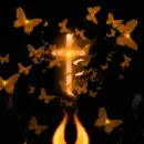 butterfire