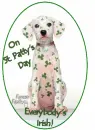 Dalmation St. Patrick tag