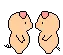 cute little pigs slapping each other