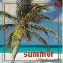 summer