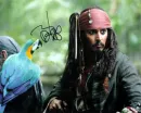 JACK SPARROW