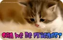 can we be friends?