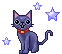 star kitty