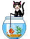 fishing kitty