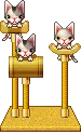 kittens