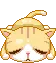 kitty
