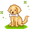 yummm bone