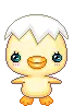 cute chick