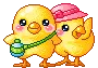 chicks