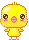 baby chick