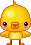 baby chick
