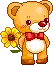 cute bear